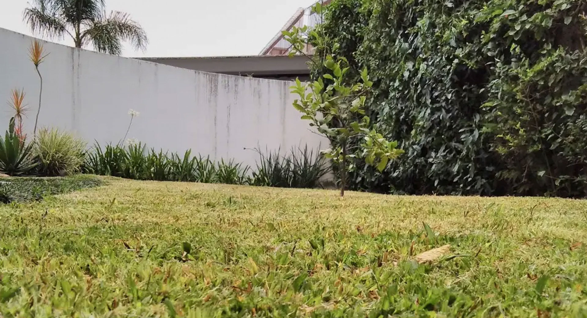 Canteiro com flores e acabamento em casca de pinus